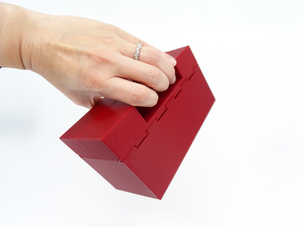 Organized Clutch Purse - Built-in Wallet, Sturdy, Dividers, Minimalist, 3D Printed - Small Handbag - Red